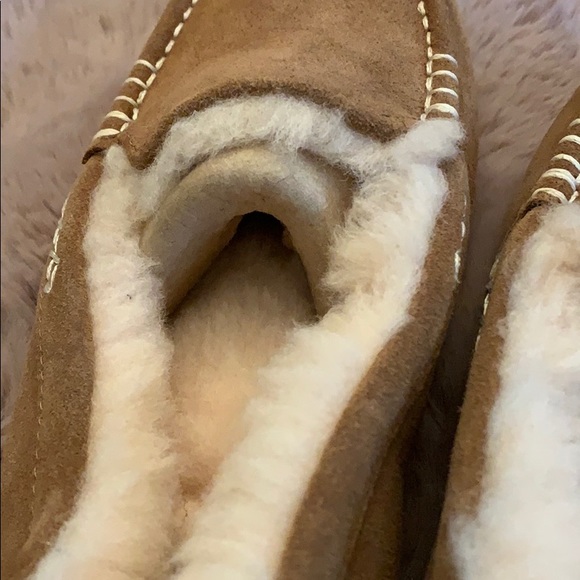 UGG slippers - Picture 6 of 6